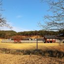 서천 이곡의 묘 Daum카페