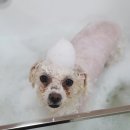 홈플러스주차장 입구 이미지