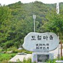 오카리나 Daum카페