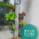 탐구생활
