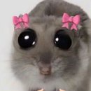 사주세요 Daum카페