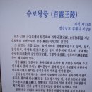 하늘이 정해준 배필을 찾아 이미지