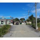 아영면 율동마을 이미지