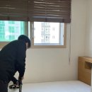 경기 매트리스케어 청소 비치움 홈케어마스터