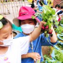 동영유치원 이미지