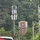 동굴 낙지와 쭈꾸미 이미지