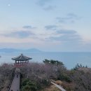 동백카페 - 여수시 자산4길 39 | 동백카페