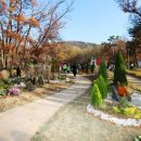 생태근린공원2 이미지