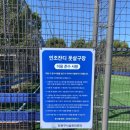 초안산 족구장 | 초안산근린공원풋살장 이용후기#초안산풋살장#도봉구풋살장#인조잔디#축구장#테니스장#주차가능#반려견...
