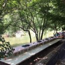 용수가든(용수매점) 이미지