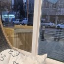 퍼피짱 대도점 이미지