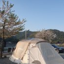 놀터캠핑장 | 경남 고성 놀터캠핑장 진심후기 (갯벌체험 캠핑장)