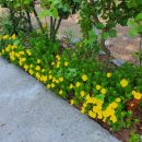 꾸지나무골 행복한 하우스 이미지