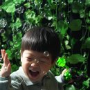 차카스튜디오
