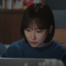 스테디독 이미지