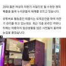 "월 수익만 1500만원"…자판기 관리하며 트럭운전 하는 25살 여성 유튜버 이미지