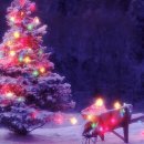 태릉입구역 3번출구 버스정류장 이미지