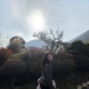 호슬로정원 | 🌿 충주 카페 ‘호슬로정원’ 방문 후기