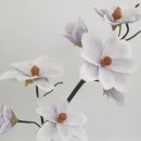 지한초등학교 이미지