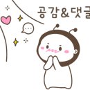 서초중앙로8길 55 이미지