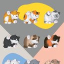 홈캣 이미지