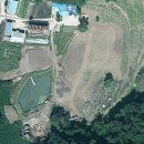울릉하하 이미지