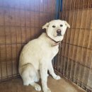 인평중학교 이미지