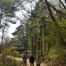 Walking Group(4/19,토) ＜운길산-수종사＞ 및 ＜팔당역-도심역＞걷기를 마치고 이미지