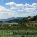 관광농원 이미지