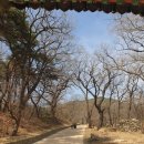 시간따라 장소따라 세계를 알자 | 안동 봉정사 힐링여행 유네스코세계유산 고즈넉한 산사 풍경