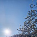 봄이오는소리공인중개사사무소 이미지