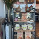 고창대리운전 이미지