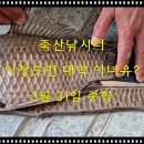 죽산 낚시터 이미지