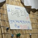사하구-77 | [하단 맛집] &#39;두씨네&#39; 해물포차 숨은존맛집 알탕 오방파전 솔직후기