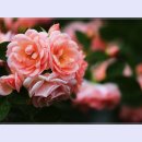 곡성-158 티스토리
