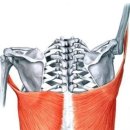 에이블짐 먹골역점 이미지