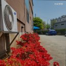 YJ요양원 이미지