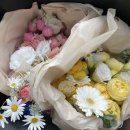광주마이퍼스트레이디 | [광주웨딩촬영] 광주 마이퍼스트레이디/르노브&해밀 웨딩스튜디오 촬영 후기