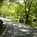 마곡서로(동측) | 2014.9.13. 공주 마곡사-1