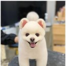 아르테미스학원 이미지