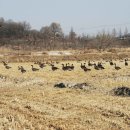 인천아시아드경기장 이미지