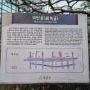 종로-신교-종로-신-122 | [광화문 맛집] 피맛골에서 만난 진정한 솥밥의 정석, '정백어가 광화문 피맛골본점' 방문 후기