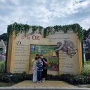 가족소풍 이미지