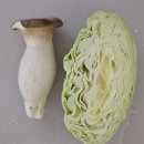 뉴대박PC | 리트 공부법 언어이해 추리논증 고득점 후기 합격자 선행 무료 무물 안내