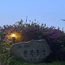 경기도 군포 철쭉축제 후기 in 철쭉동산