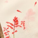 🍃 [삼원아트스폰서십] 파브리아노5 중목 300g (코튼 50%) 수채화지 사용 후기 – 사루비아 수채화