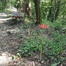 도심건강길 1길 이미지