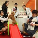 디비에스 주식회사 이미지