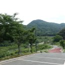 오례마을 Daum카페