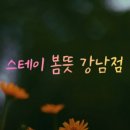 스테이봄뜻